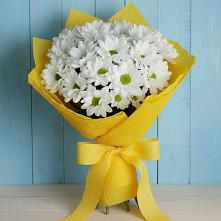 Букет цветов из:  Хризантемы в Сланцах