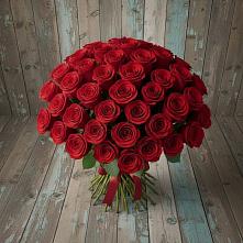 Букет 55 Красных роз Фридом #REPLACE_PRED# Сланцах