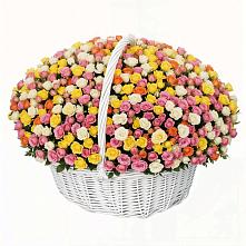 Премиум букет из: Розы в Сланцах