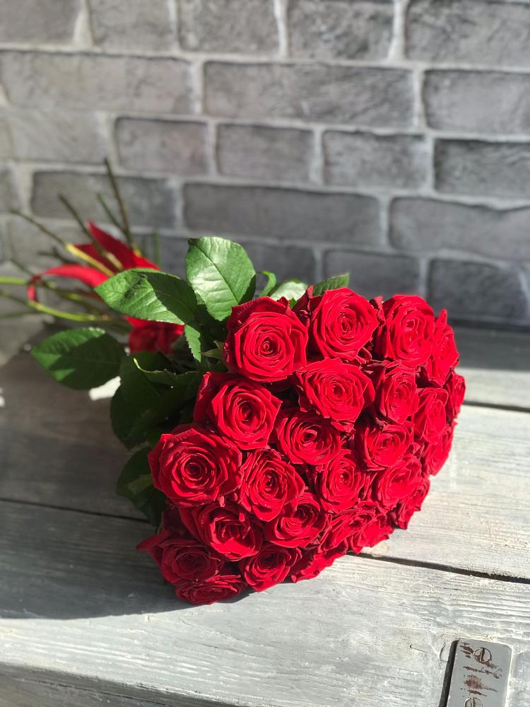 Букет Красные розы Фридом в Сланцах