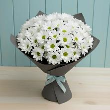 Букет цветов из:  Хризантемы в Сланцах