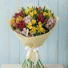Букет цветов из:  Альстромерии #REPLACE_PRED# Сланцах