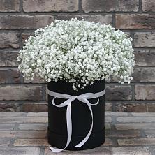 Цветочная композиция из Гипсофила в шляпной коробке в Сланцах